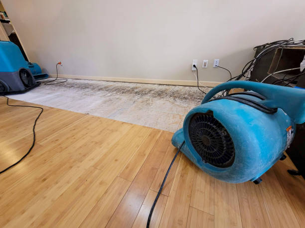 Professional Water Removal technician working in Brookhaven, GA